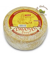 Queso "Payoyo" Curado de Oveja en Salvado de Trigo